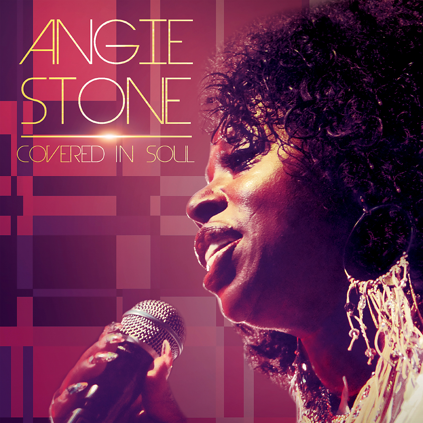  Coverfoto voor Angie Stone's album. 